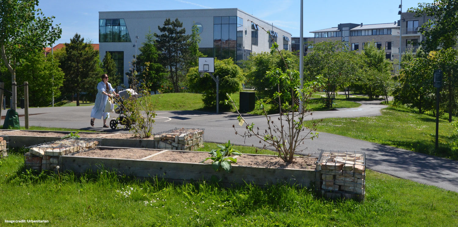 Community park with lush landscape (before)