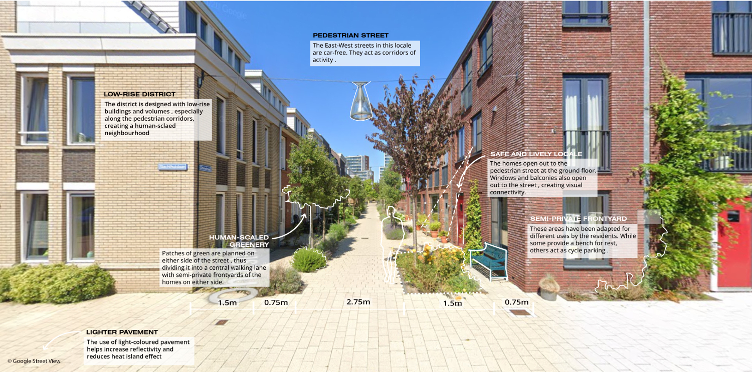 Pedestrian street with human-scale greenery (after)