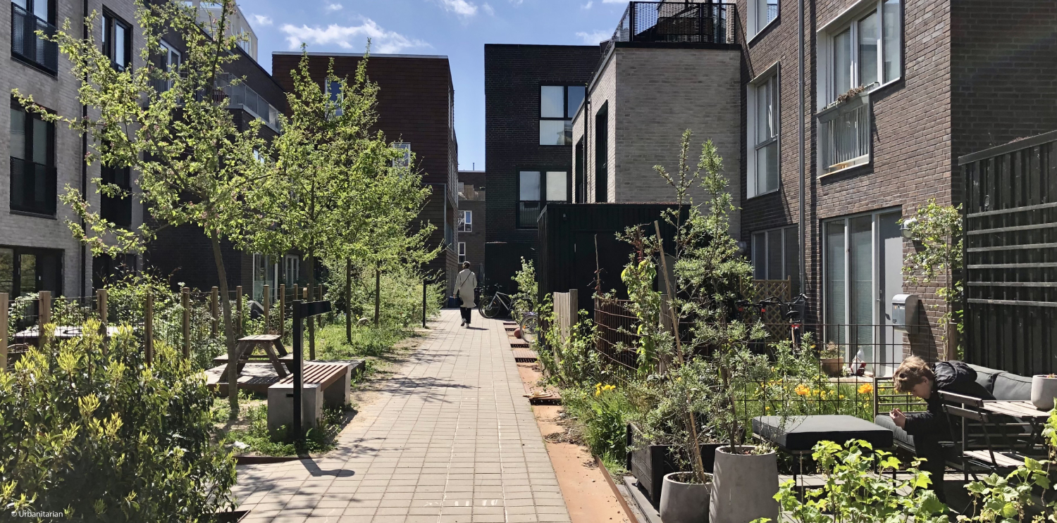 Nature Walk amidst residences (before)