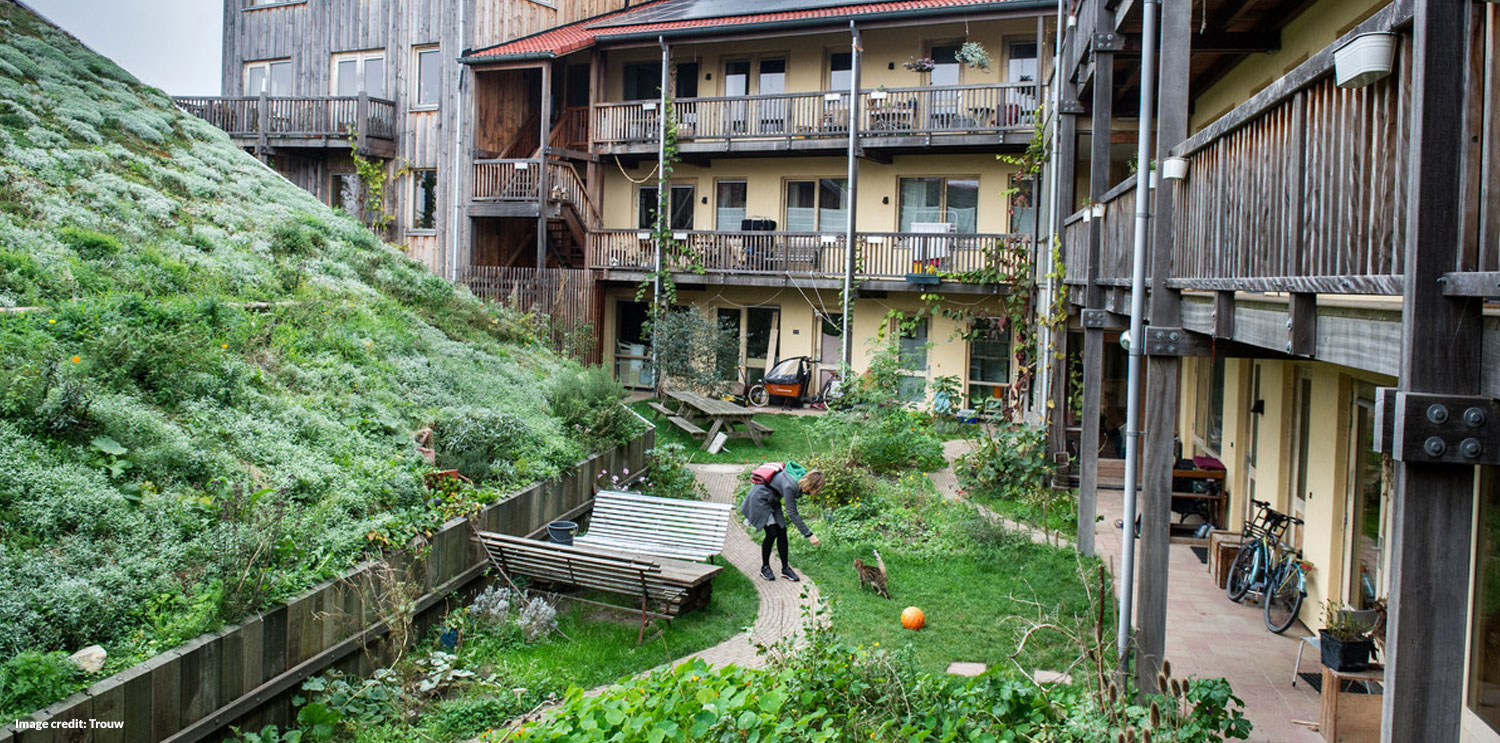 Straw Architecture with permaculture roof (before)