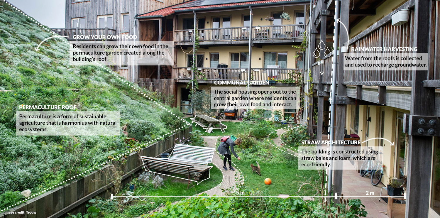 Straw Architecture with permaculture roof (after)