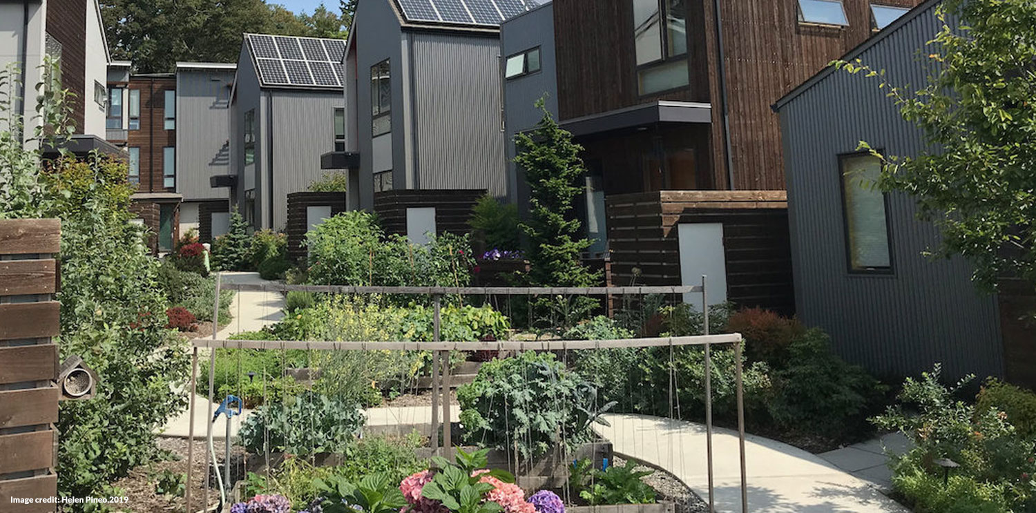Pedestrian path in a One Planet Living neighbourhood (before)