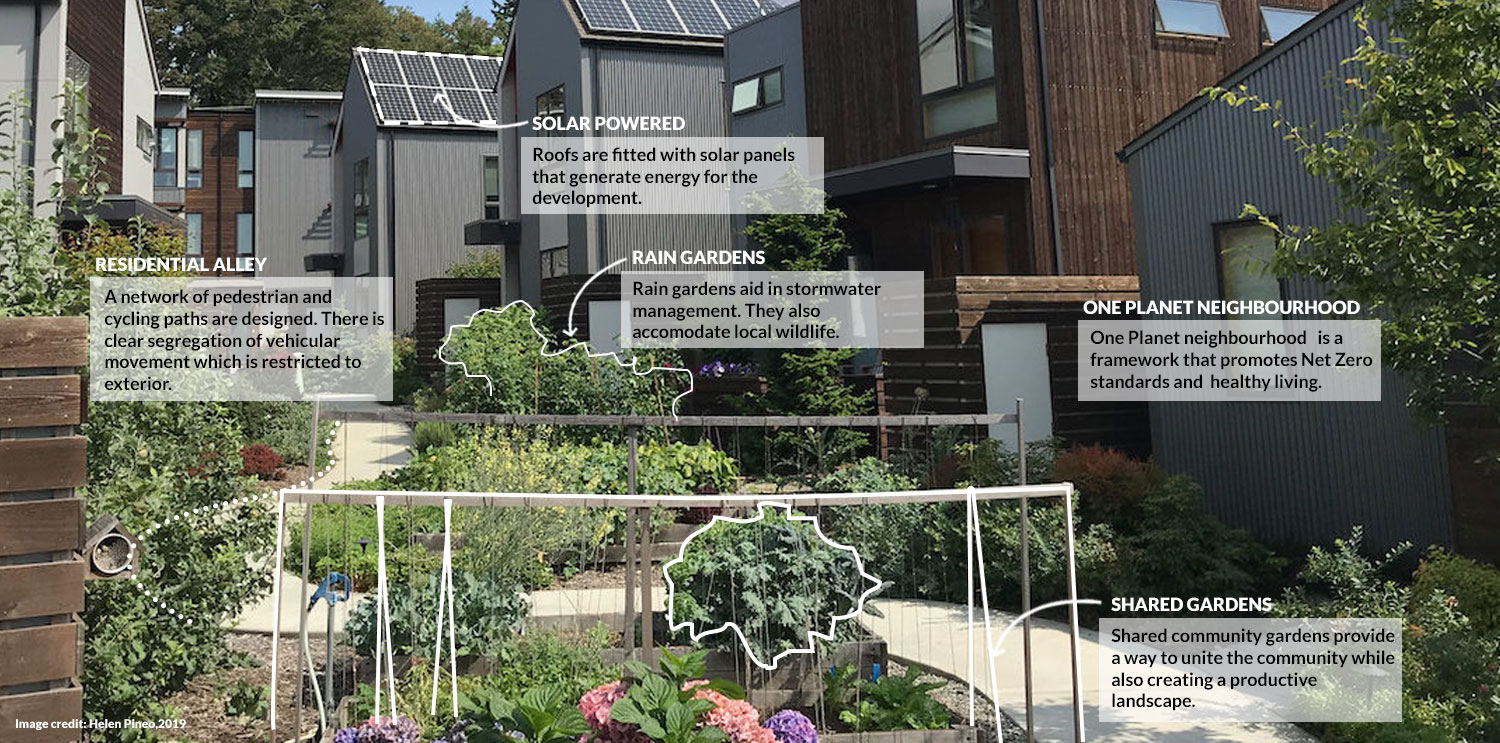 Pedestrian path in a One Planet Living neighbourhood (after)