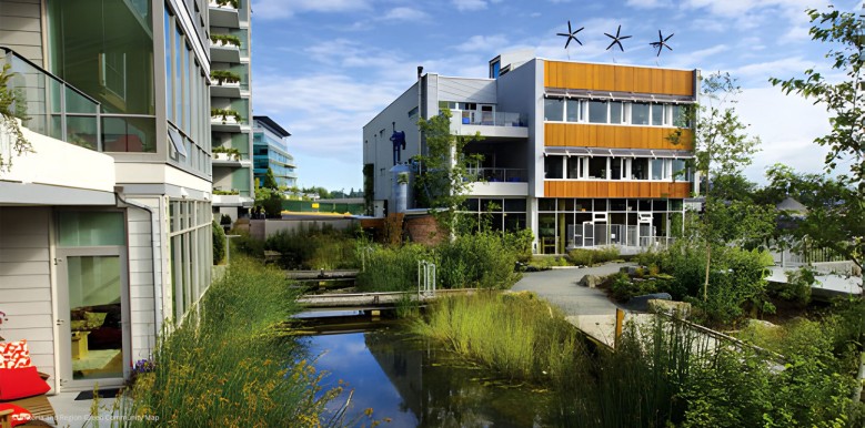 Greenway with wetland ecosystem (before)