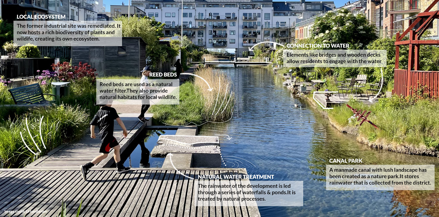 Canal Park with natural treatment system (after)