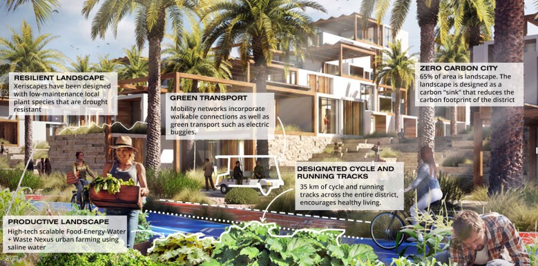Net-Zero street with scalable saline urban farm (after)