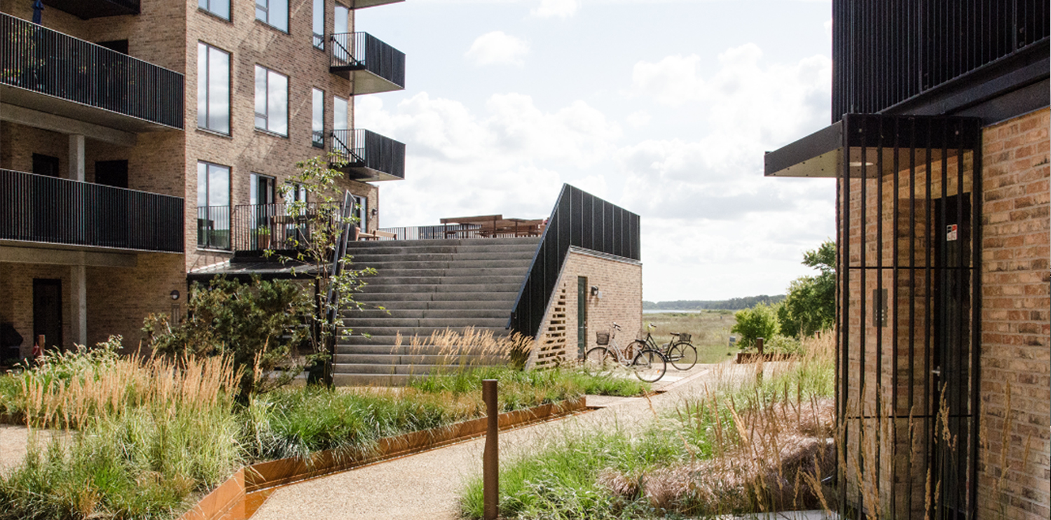 Housing and Co-housing (before)