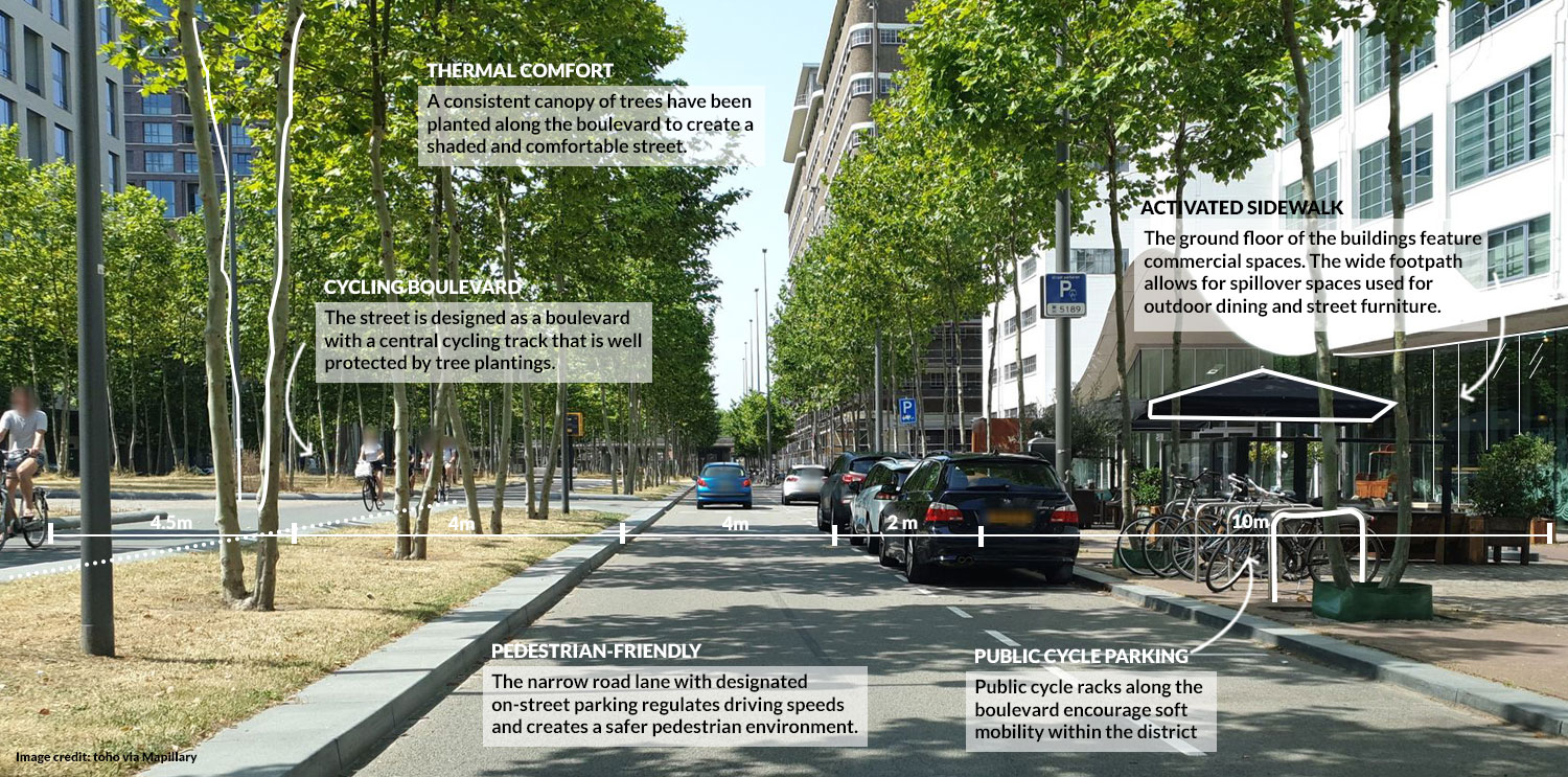 Tree-lined boulevard with a scenic cycling track (after)
