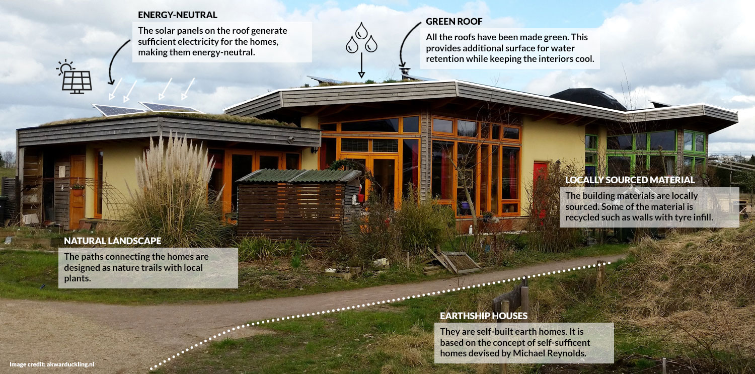 Nature trail amidst earthship houses (after)